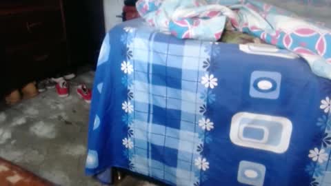 dreamreal online show from October 1, 2025, 3:01 am