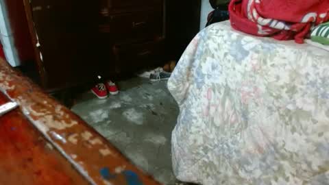 dreamreal online show from October 28, 2025, 10:52 am