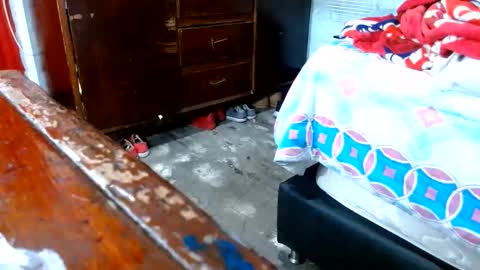 dreamreal online show from November 10, 2025, 10:58 am