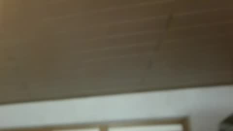 Dreambob online show from December 21, 2025, 11:17 am