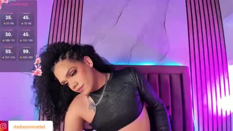 Snapshot of dreammatell_ chatting on January 15, 2025, 7:05 am Dream Matell online show from January 15, 2025, 7:05 am