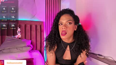 Snapshot of dreammatell_ chatting on January 28, 2025, 9:30 am Dream Matell online show from January 28, 2025, 9:30 am