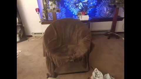 dribblez420 online show from October 26, 2025, 3:12 am