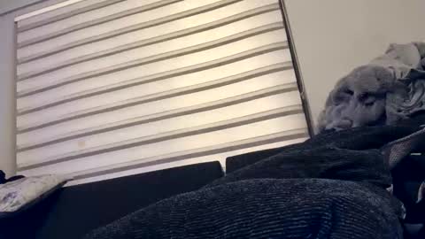 drippinggenie online show from December 26, 2024, 5:08 pm