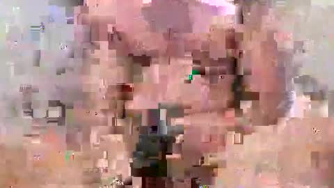 indian goat online show from September 30, 2025, 11:10 pm