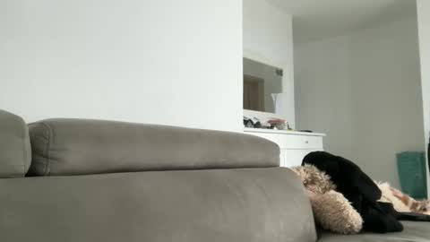 Dr. Resa online show from October 18, 2025, 9:54 am