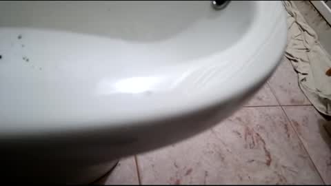 dthedog12 online show from February 24, 2025, 7:52 pm