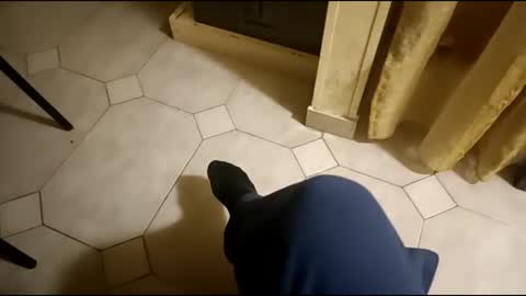 dthedog12 online show from March 3, 2025, 8:43 pm