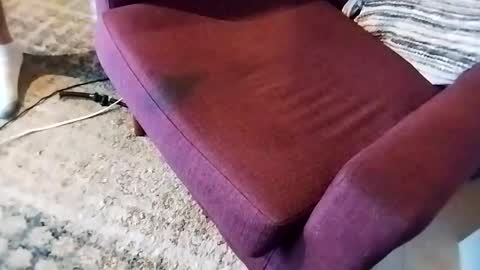 Snapshot of dtrain6969420 chatting on March 7, 2025, 2:46 am dtrain6969420 online show from March 7, 2025, 2:46 am