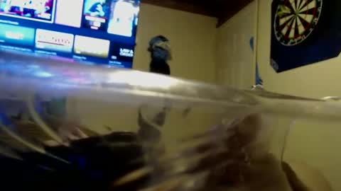 Snapshot of dtrain6969420 chatting on September 25, 2025, 2:04 am dtrain6969420 online show from September 25, 2025, 2:04 am