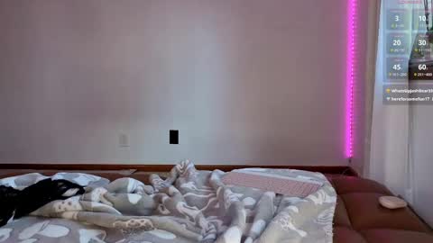 Dust Bunni online show from May 20, 2026, 12:11 pm