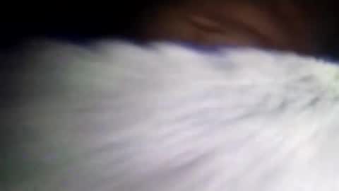 duvanarleyy online show from October 16, 2025, 6:36 am