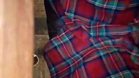 dVe1oPe online show from April 11, 2026, 10:19 am