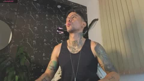 Snapshot of dylanstonne1 chatting on May 10, 2026, 3:12 am D Y L A N online show from May 10, 2026, 3:12 am