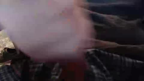 eat_a_peach2 online show from November 12, 2025, 11:43 am