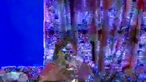 ebonybloom01 online show from September 20, 2025, 5:03 pm