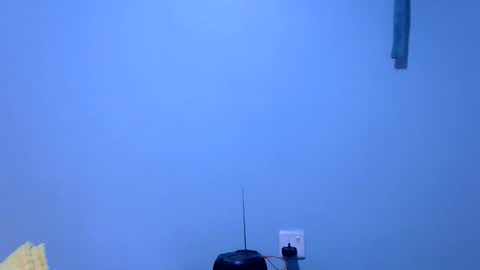 ebonybloom01 online show from November 26, 2025, 5:36 pm