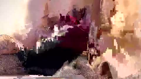 AliceTurner online show from March 17, 2026, 7:17 pm