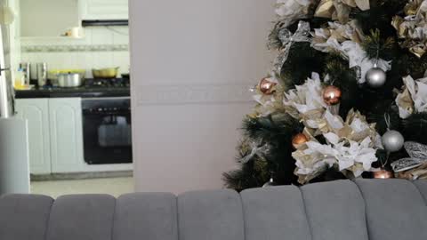 Edecio Cardenas online show from December 9, 2024, 7:50 pm