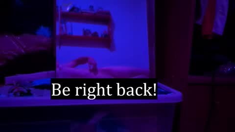 Alex online show from February 3, 2026, 2:53 am