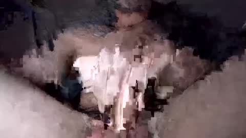 Dan online show from February 1, 2025, 10:44 pm