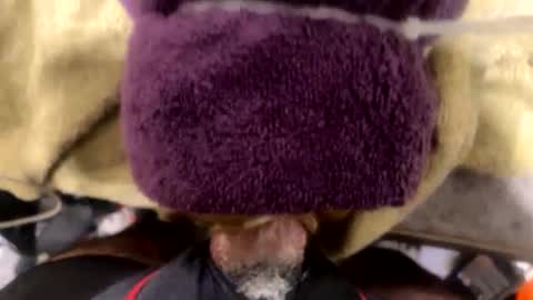 ehdgher online show from December 2, 2025, 9:03 am