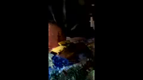 ehdgher online show from February 27, 2026, 11:21 am