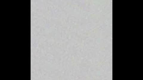 Ekz online show from February 16, 2025, 7:05 pm