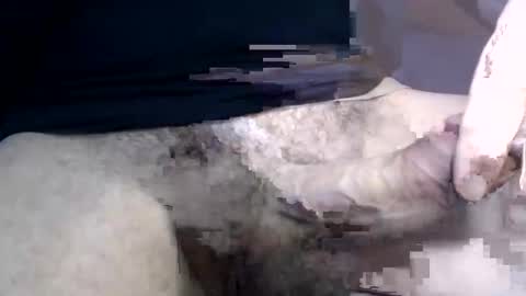 Snapshot of el_gato_lusty chatting on January 30, 2025, 1:42 pm el gato lusty online show from January 30, 2025, 1:42 pm
