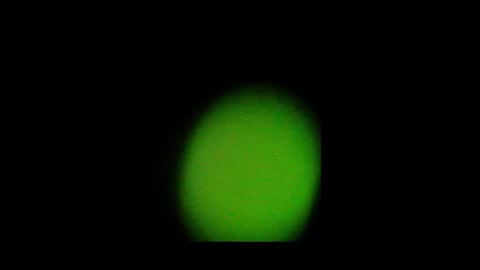 Nando online show from October 24, 2025, 2:02 pm