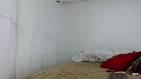 elektra online show from September 16, 2025, 4:24 am