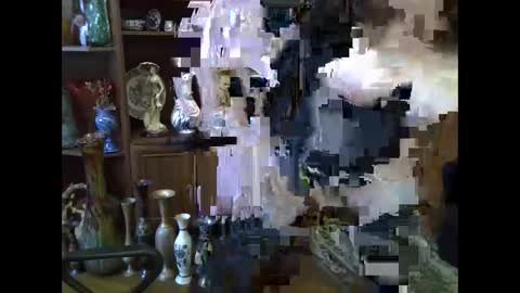 ElenaZed online show from February 8, 2026, 8:29 am