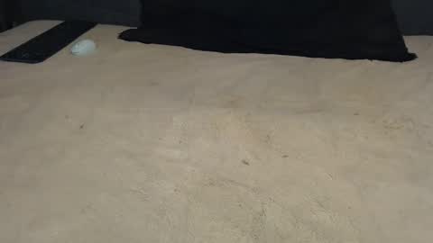 elgsslt online show from March 17, 2026, 12:19 pm