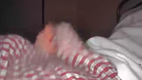 eliexavier123456789 online show from April 21, 2026, 5:36 am