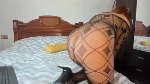 Snapshot of elif__girasol chatting on February 15, 2026, 11:52 am elifgirasol online show from February 15, 2026, 11:52 am