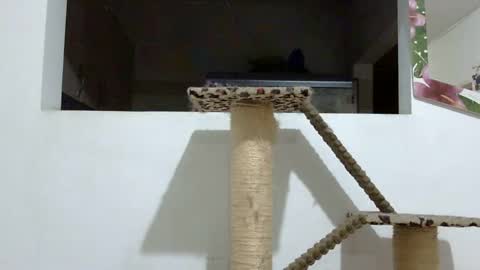 Elizabeth Martinez  online show from January 18, 2025, 2:03 am