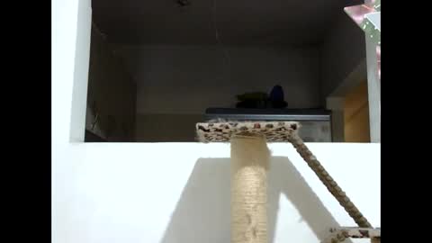 Elizabeth Martinez  online show from January 19, 2025, 8:09 pm