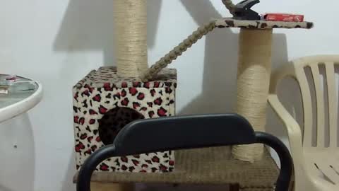 Elizabeth Martinez  online show from September 16, 2025, 2:51 pm