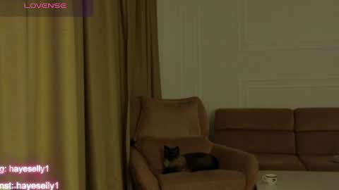 Ella NEXT STREAM 1TH DECEMBER 1200 - 0800 AM AT MOSCOW TIME online show from April 8, 2026, 11:27 pm