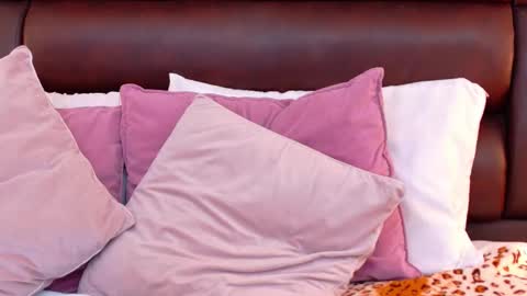 Ella Sanders online show from March 27, 2026, 11:48 pm