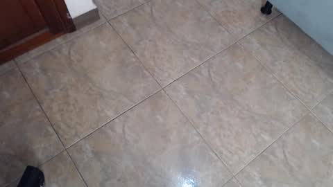 EloiseQuinn online show from December 26, 2024, 11:32 am