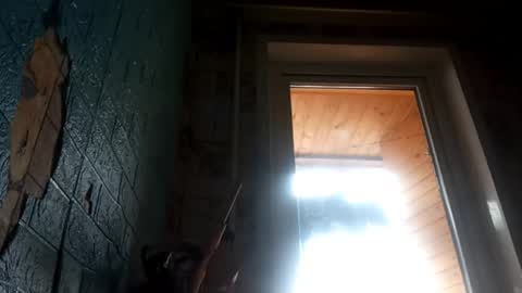 Alisa online show from April 25, 2026, 9:45 am