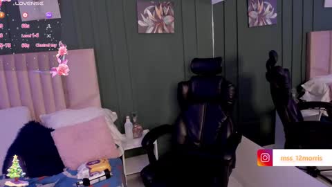 Snapshot of elsiemorriis chatting on December 13, 2024, 1:15 am ELSIE online show from December 13, 2024, 1:15 am