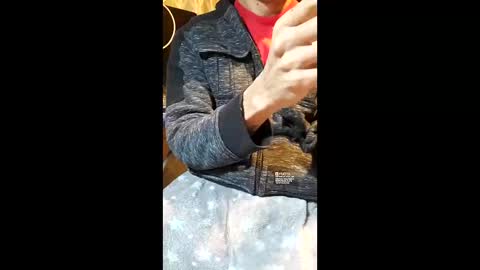 Snapshot of elvergg1 chatting on January 19, 2026, 7:12 am elvergg1 online show from January 19, 2026, 7:12 am