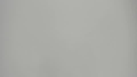   online show from January 15, 2025, 8:37 pm