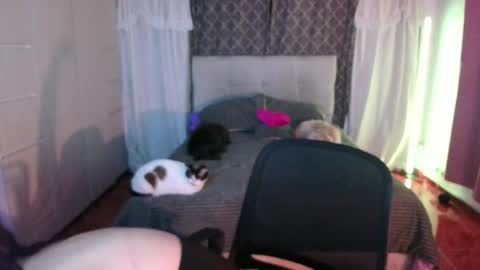 Snapshot of emily_swan_04 chatting on April 26, 2026, 1:47 am Emily Swan online show from April 26, 2026, 1:47 am