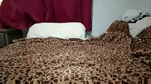 emilysparkss online show from November 3, 2025, 2:46 am