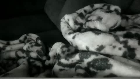 Snapshot of emilywarren296 chatting on October 21, 2025, 1:12 pm emilywarren296 online show from October 21, 2025, 1:12 pm