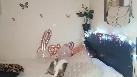 Valentina independent model online show from November 25, 2025, 2:33 am