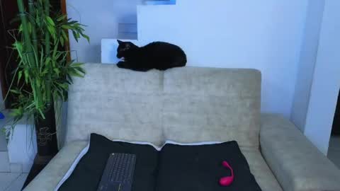 Emma Blue  modelo independiente online show from April 23, 2026, 3:08 am